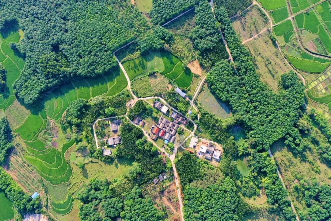 78mÍþ¾Å¹ú¼Ê(¼¯ÍÅ)ÖйúÇøÓÐÏÞ¹«Ë¾-BinG°Ù¿Æ